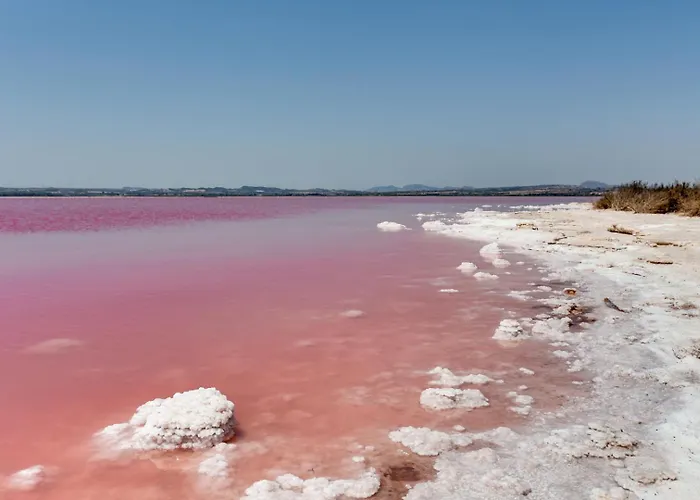 Hébergement de vacances Esclusivo Con Piscina E Giardino