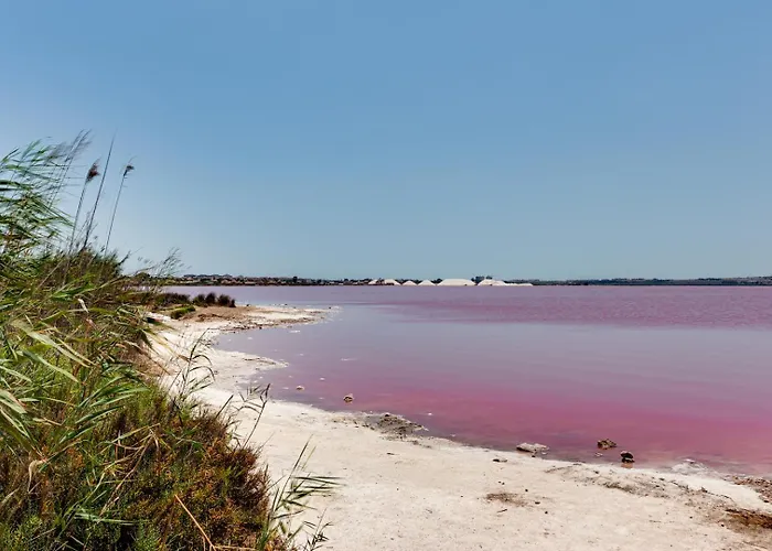 Esclusivo Con Piscina E Giardino Hébergement de vacances Torrevieja