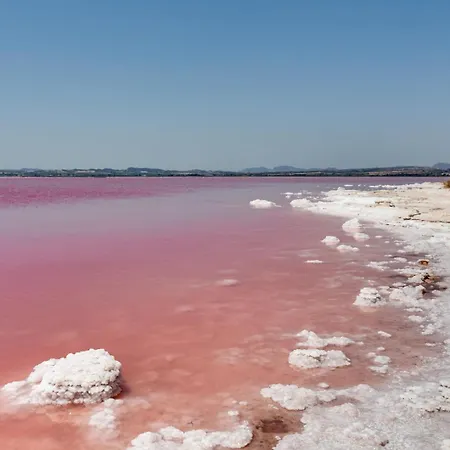 Ferienhaus Esclusivo Con Piscina E Giardino